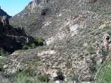 Rugged Canyon --Sabino Canyon